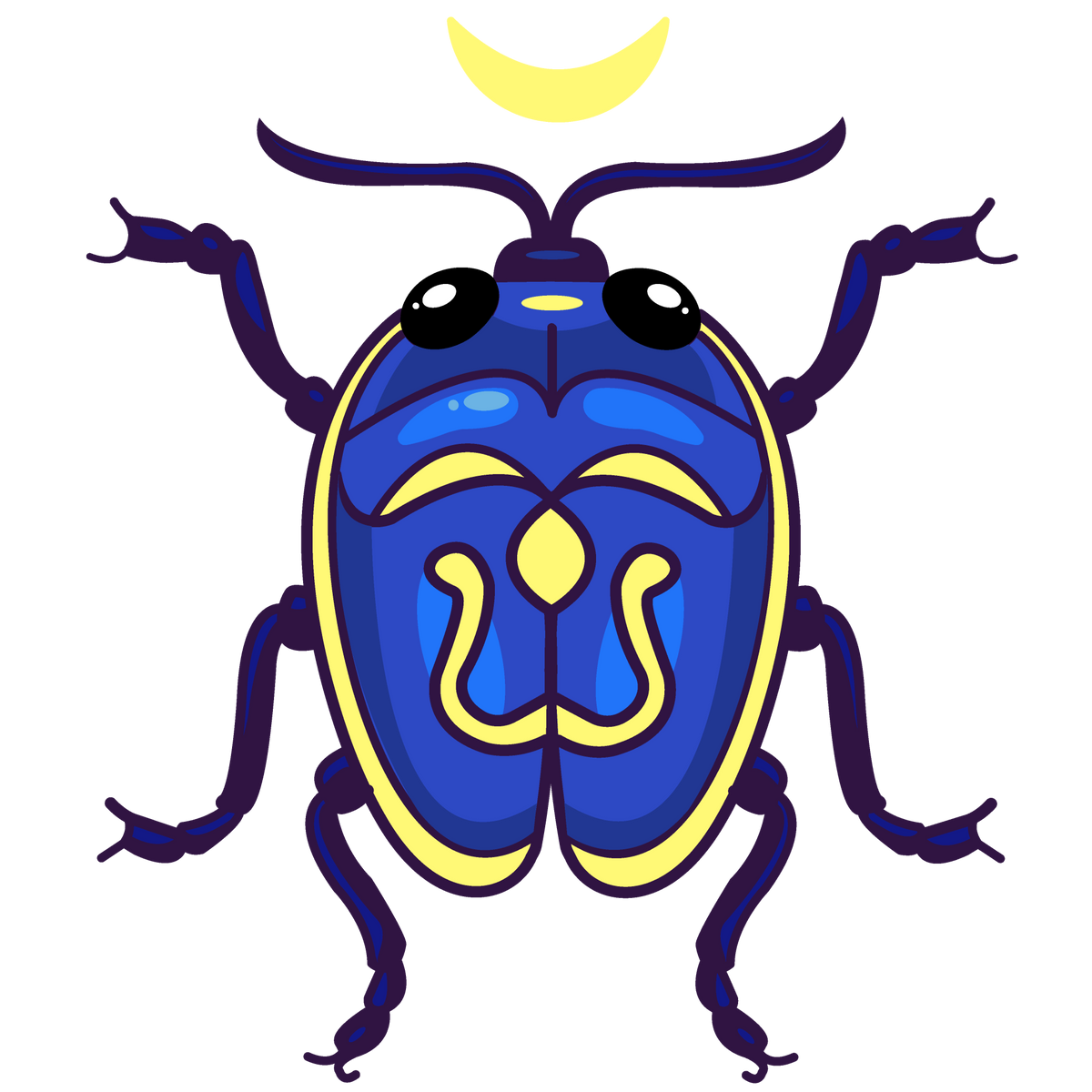 Bug Image