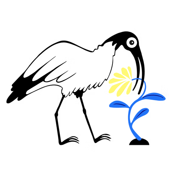 Bug Image